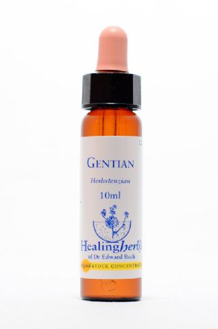 Healing Herbs 12 Gentian (Enzian)