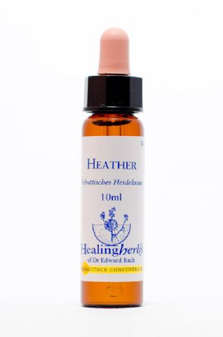 Healing Herbs 14 Heather (Heidekraut, Erika)