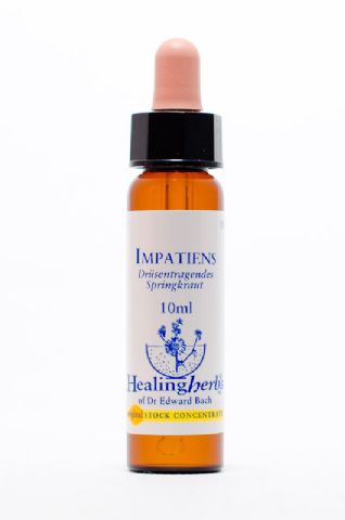 Healing Herbs 18 Impatiens (drüsentragendes Springkraut)