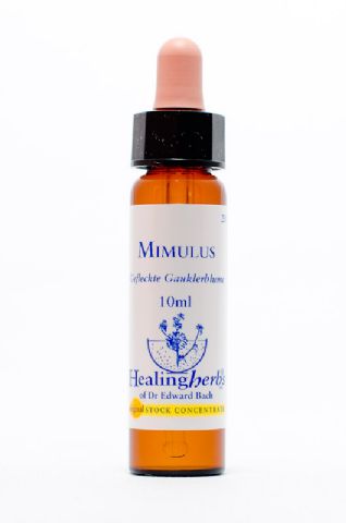 Healing Herbs 20 Mimulus (gefleckte Gauklerblume)