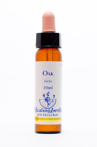 Healing Herbs 22 Oak (Eiche)
