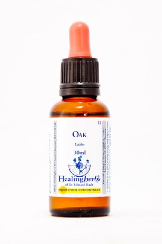 Healing Herbs 22 Oak (Eiche)