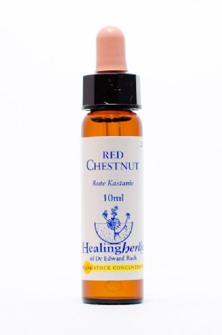 Healing Herbs 25 Red Chestnut (Rote Kastanie)