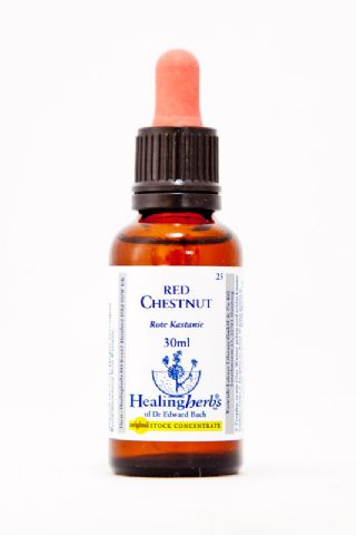 Healing Herbs 25 Red Chestnut (Rote Kastanie)