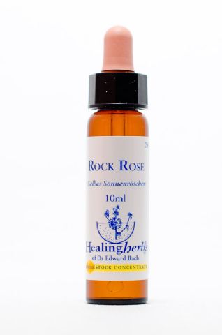 Healing Herbs 26 Rock Rose (gemeines Sonnenröschen)