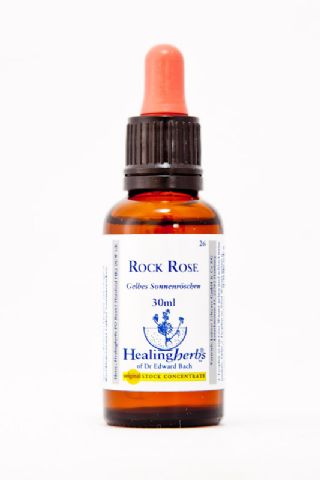 Healing Herbs 26 Rock Rose (gemeines Sonnenröschen)