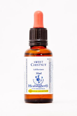 Healing Herbs 30 Sweet Chestnut (Edelkastanie)