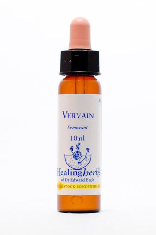 Healing Herbs 31 Vervain (Eisenkraut, Verbena)