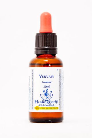 Healing Herbs 31 Vervain (Eisenkraut, Verbena)