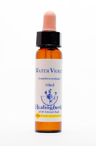 Healing Herbs 34 Water Violet (Wasserfeder)