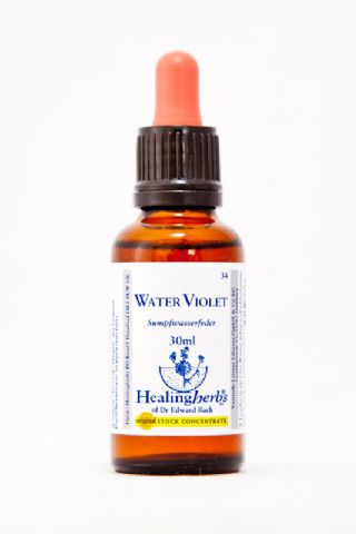 Healing Herbs 34 Water Violet (Wasserfeder)