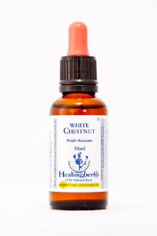 Healing Herbs 35 White Chestnut (Rosskastanie)