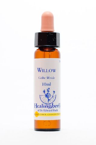 Healing Herbs 38 Willow (gelbe Weide)