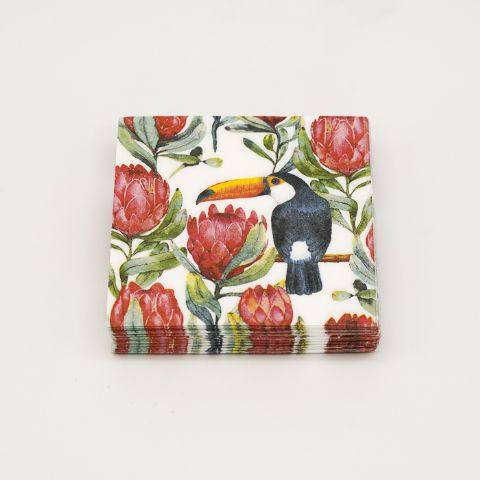Tropical Toucan