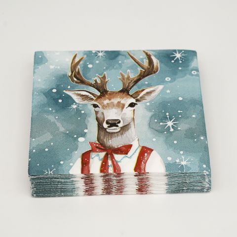 Mr Reindeer
