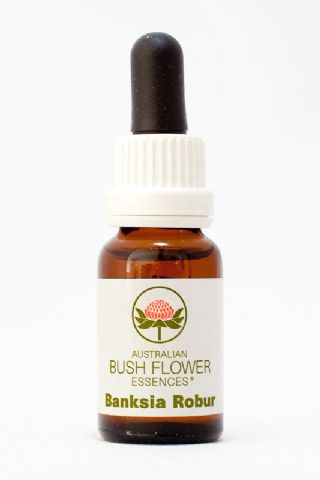 AUB Banksia Robur