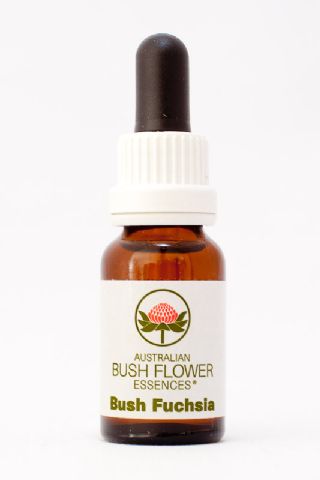 AUB Bush Fuchsia
