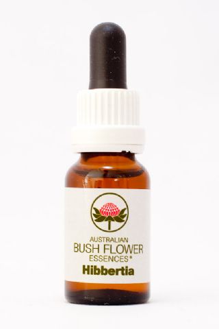 AUB Hibbertia