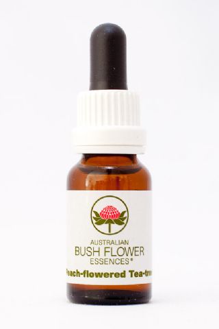 AUB Peach-Flowered-Tea-Tree