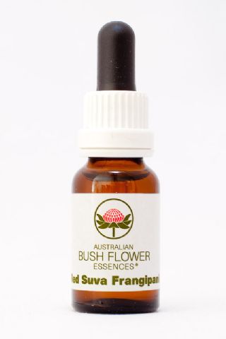 AUB Red Suva Frangipani