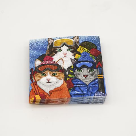 Ski Cats