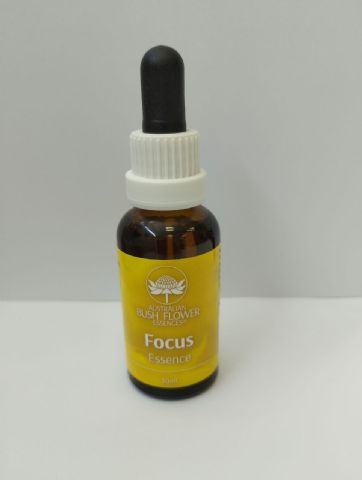 AUB Focus Essence