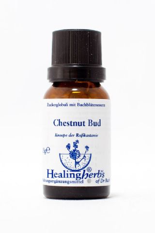 Healing Herbs 07 Chestnut Bud Globuli