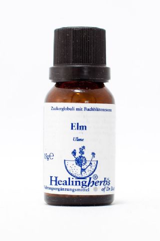 Healing Herbs 11 Elm Globuli