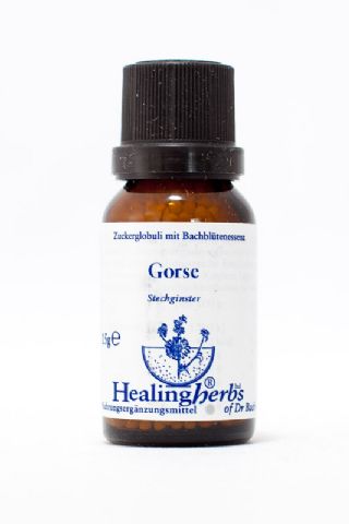 Healing Herbs 13 Gorse Globuli
