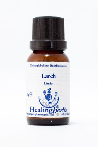Healing Herbs 19 Larch Globuli