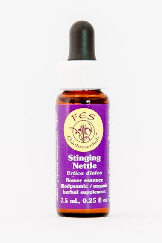 FES Stinging Nettle (Brennnessel)