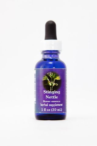 FES Stinging Nettle (Brennnessel)