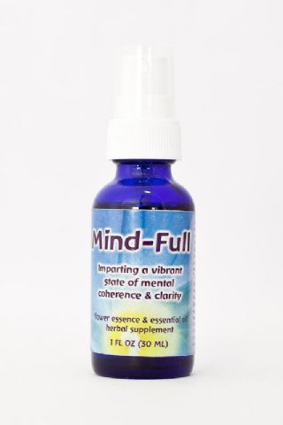 FES Mind-Full