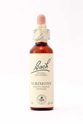 01 Agrimony (Odermennig)