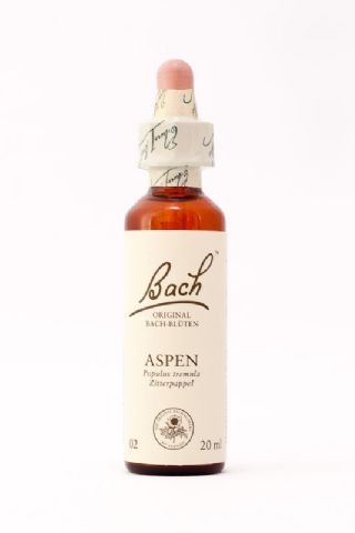 02 Aspen (Zitterpappel)