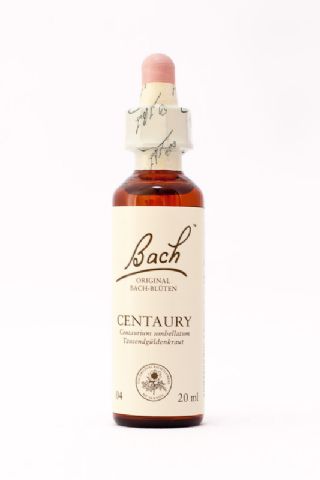 04 Centaury (Tausendgüldenkraut)