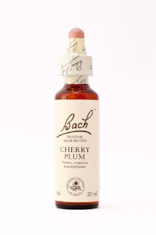 06 Cherry Plum (Kirschpflaume)