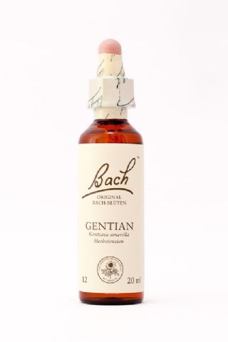 12 Gentian (Enzian)