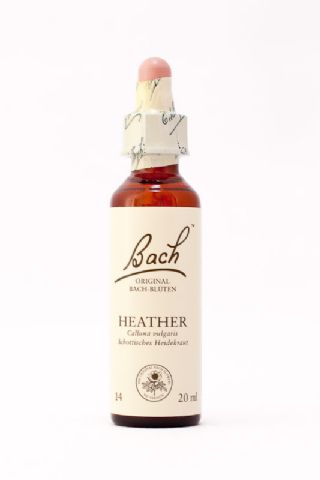14 Heather (Heidekraut, Erika)