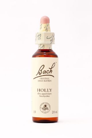 15 Holly (Stechpalme)