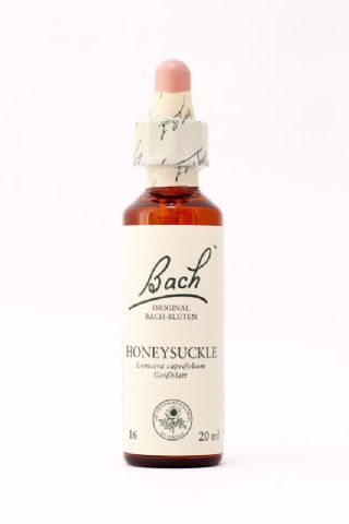 16 Honeysuckle (Geißblatt)