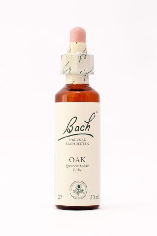 22 Oak (Eiche)