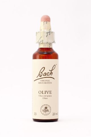 23 Olive (Olive)