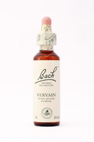 31 Vervain (Eisenkraut, Verbena)