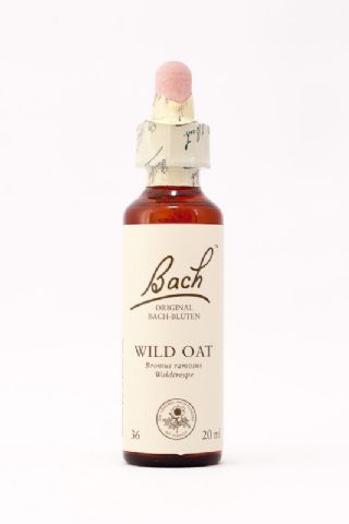 36 Wild Oat (Waldtrespe)
