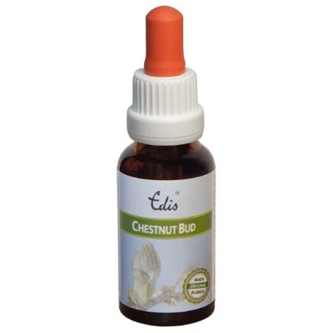 Edis Bio 07 Chestnut Bud alkoholfrei