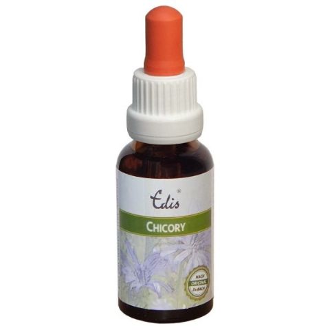 Edis Bio 08 Chicory alkoholfrei