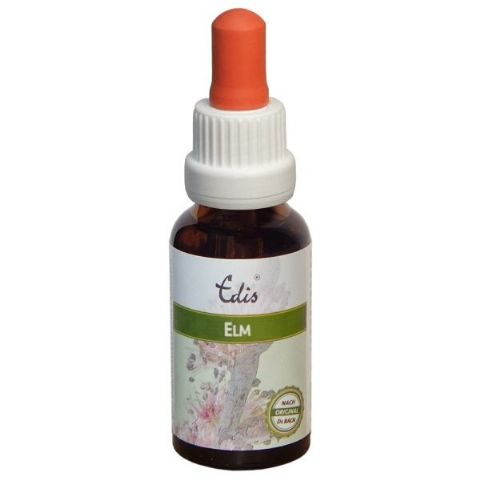 Edis Bio 11 Elm alkoholfrei