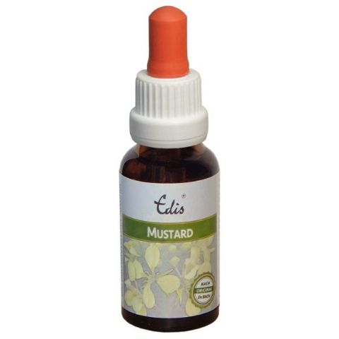 Edis Bio 21 Mustard alkoholfrei