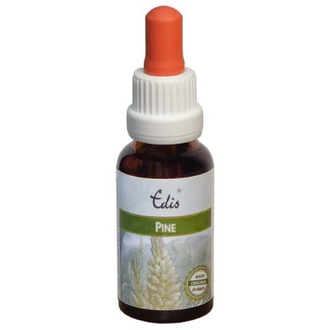 Edis Bio 24 Pine alkoholfrei